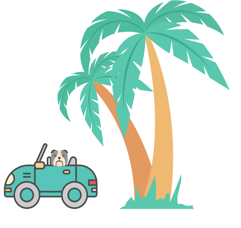 MINI in Florida